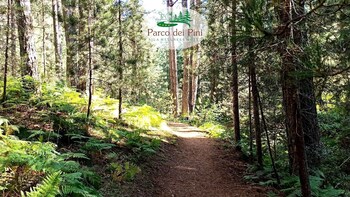 parco dei pini sila wellness hotel