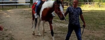 parco dei pini sila wellness hotel