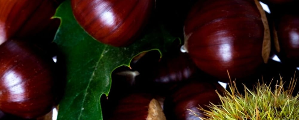 parco dei pini sila wellness hotel