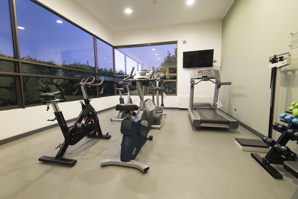 holiday inn express temuco by ihg