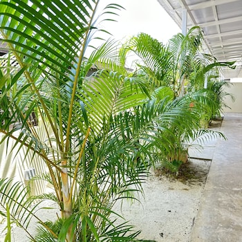 adina pool villa cenang langkawi 3b4r