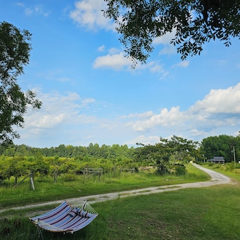 phoenix farms vineyard