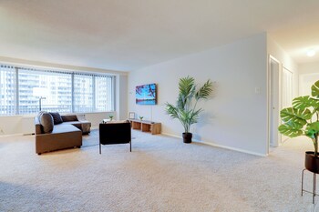 bright comfort in dc apts