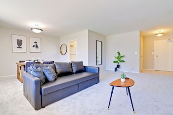 bright comfort in dc apts