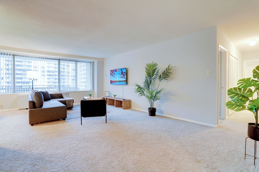 bright comfort in dc apts