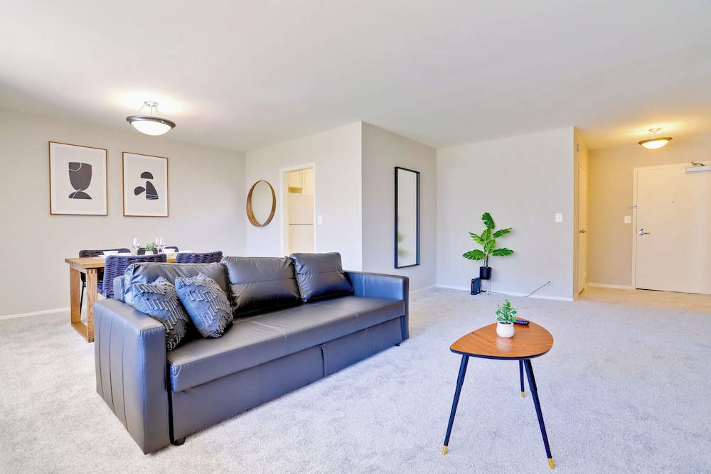 bright comfort in dc apts