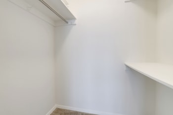 bright comfort in dc apts