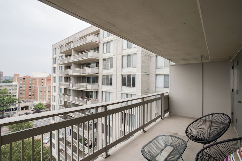 bright comfort in dc apts