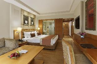 park plaza ludhiana