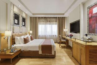 park plaza ludhiana