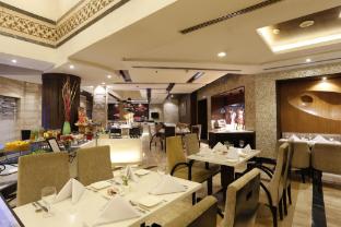 park plaza ludhiana