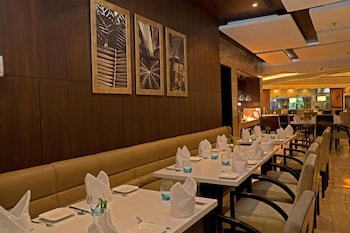 park plaza ludhiana
