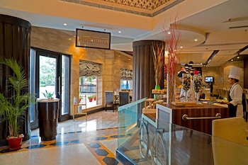park plaza ludhiana
