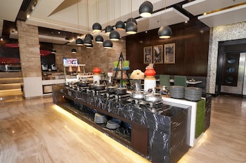 park plaza ludhiana