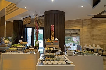 park plaza ludhiana