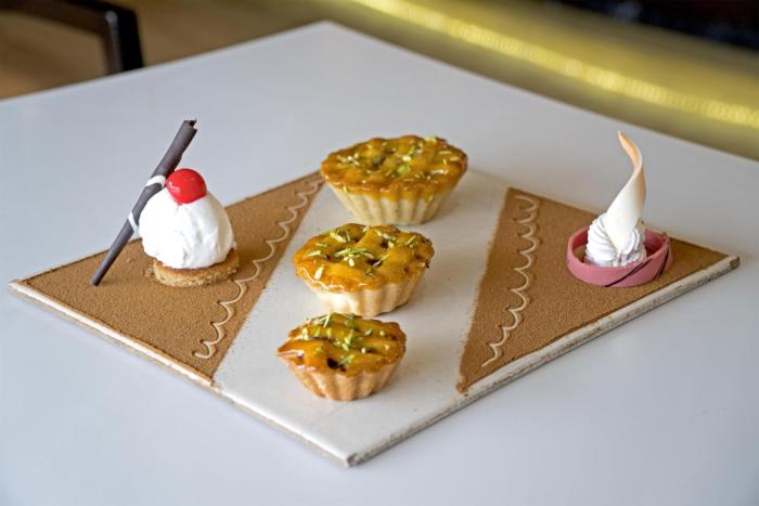 park plaza ludhiana
