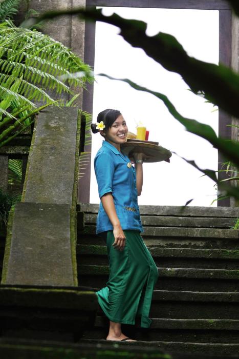 nicks hidden cottages