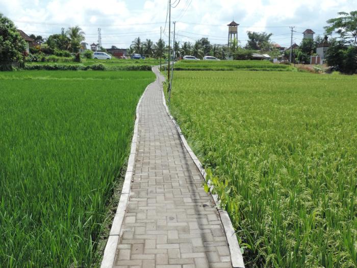 nicks hidden cottages