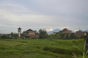 nicks hidden cottages