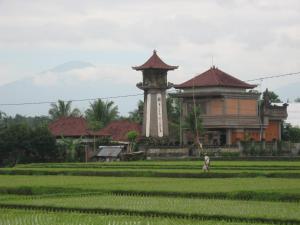 nicks hidden cottages