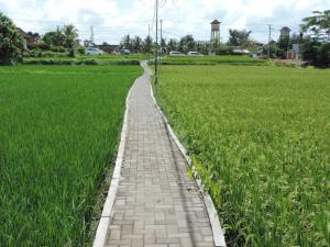 nicks hidden cottages