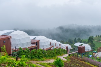 mae rim