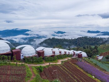 mae rim