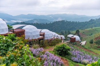 mae rim