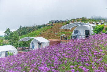 mae rim