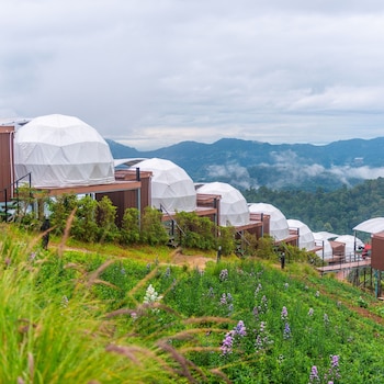 mae rim
