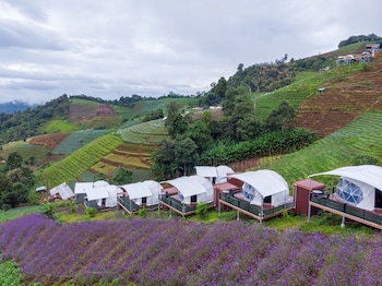 the view homestay monjam