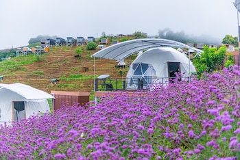 the view homestay monjam