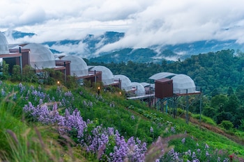 the view homestay monjam