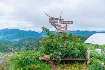 the view homestay monjam