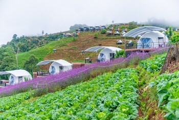 the view homestay monjam