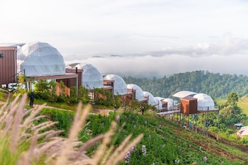 the view homestay monjam