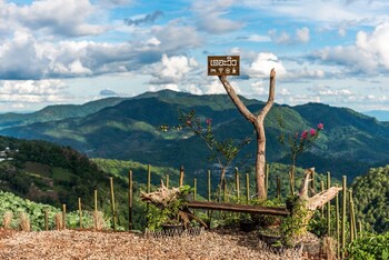 the view homestay monjam