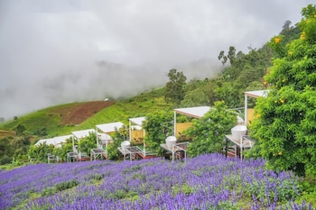 the view homestay monjam