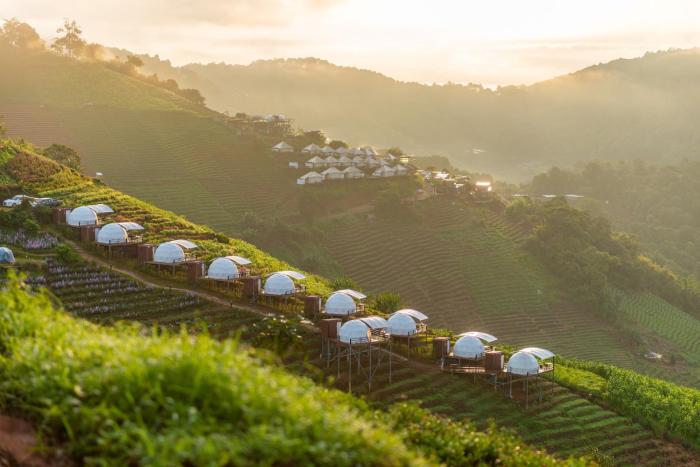 the view homestay monjam