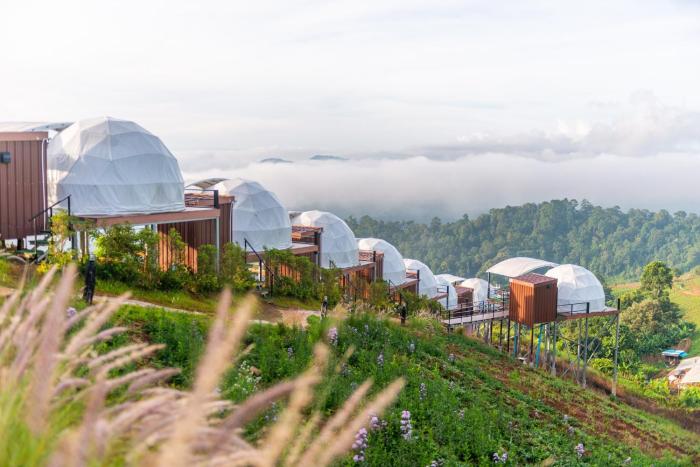 the view homestay monjam