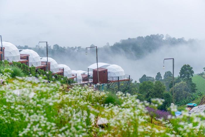 the view homestay monjam