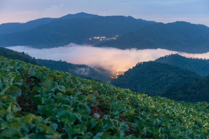 the view homestay monjam