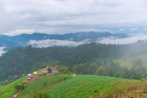 the view homestay monjam