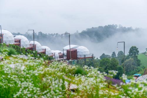 the view homestay monjam