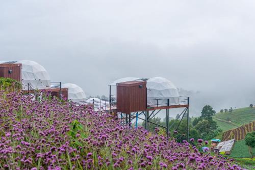 the view homestay monjam