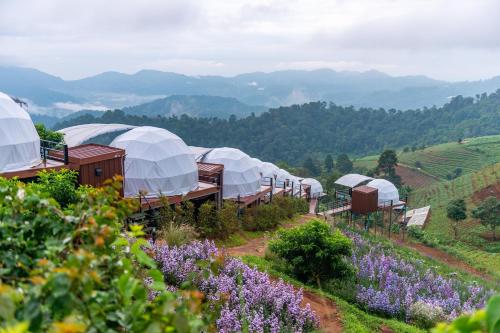 the view homestay monjam