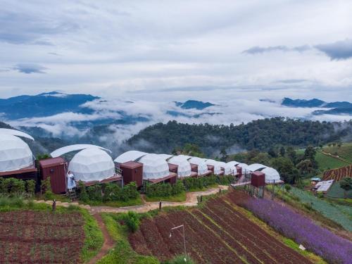 the view homestay monjam