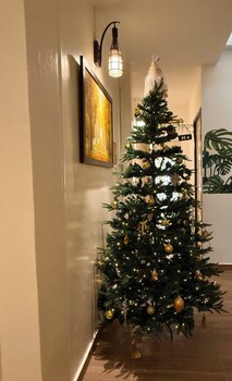 jade guesthouse