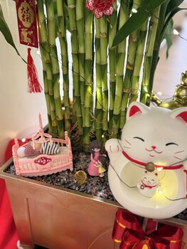 jade guesthouse