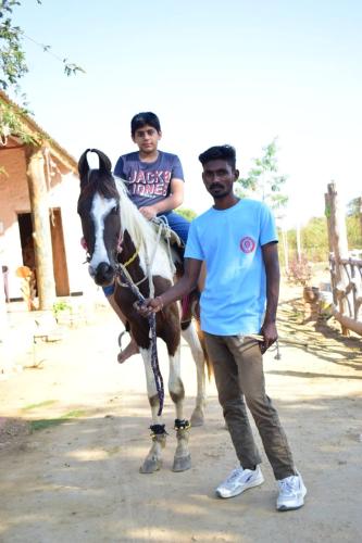 ajinkya jungle lake farms resort